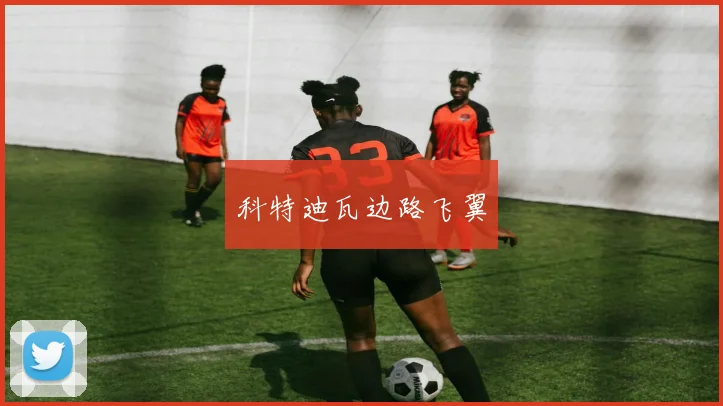科特迪瓦边路飞翼