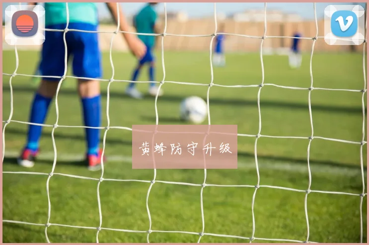 黄蜂防守升级