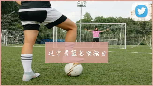 辽宁男篮客场抢分