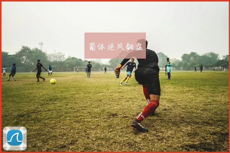 葡体逆风翻盘