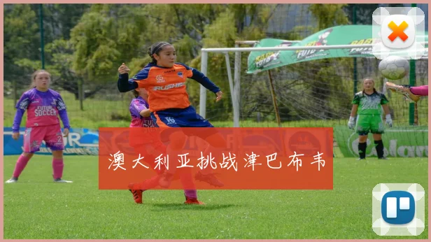 澳大利亚挑战津巴布韦