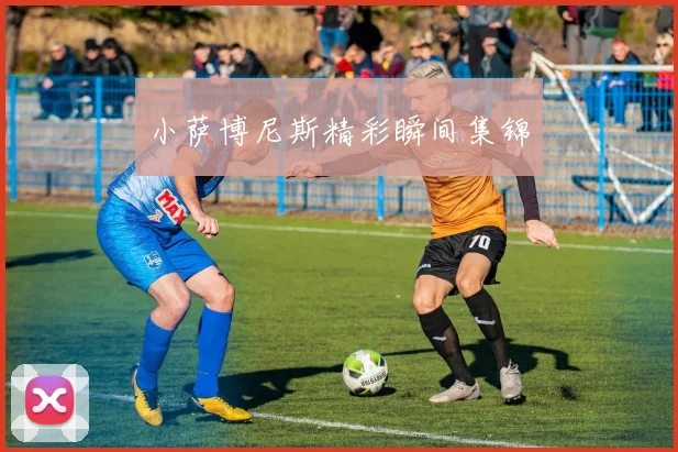 小萨博尼斯精彩瞬间集锦