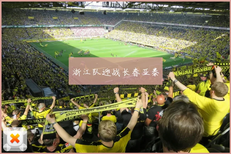 浙江队迎战长春亚泰