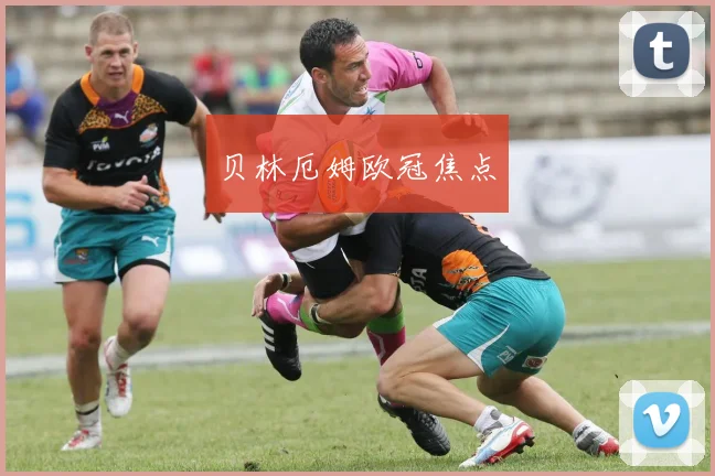 贝林厄姆欧冠焦点