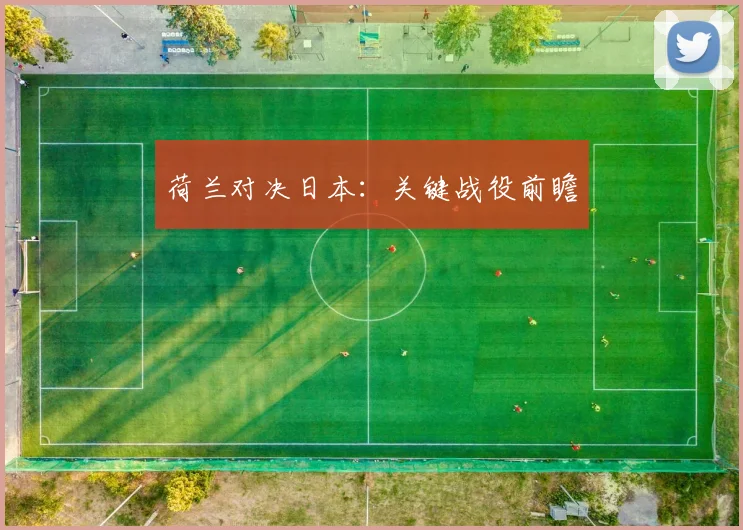 荷兰对决日本：关键战役前瞻