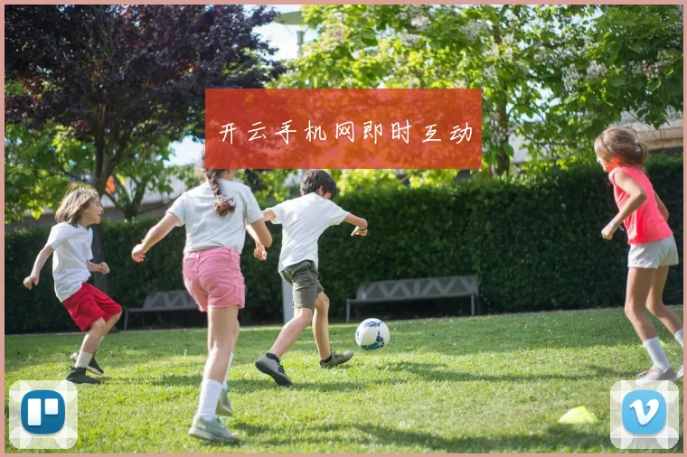 开云手机网即时互动