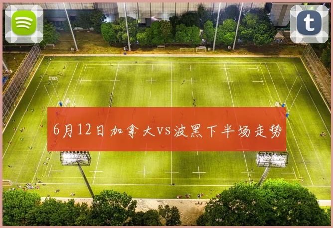 6月12日加拿大vs波黑下半场走势