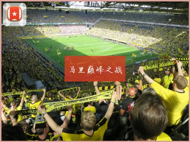 马里巅峰之战