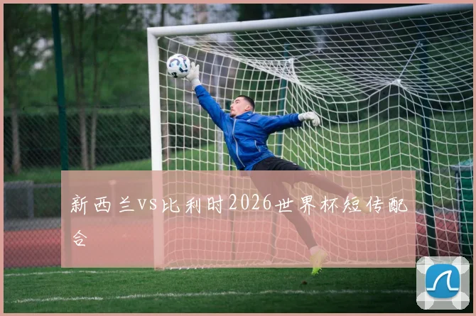 新西兰vs比利时2026世界杯短传配合