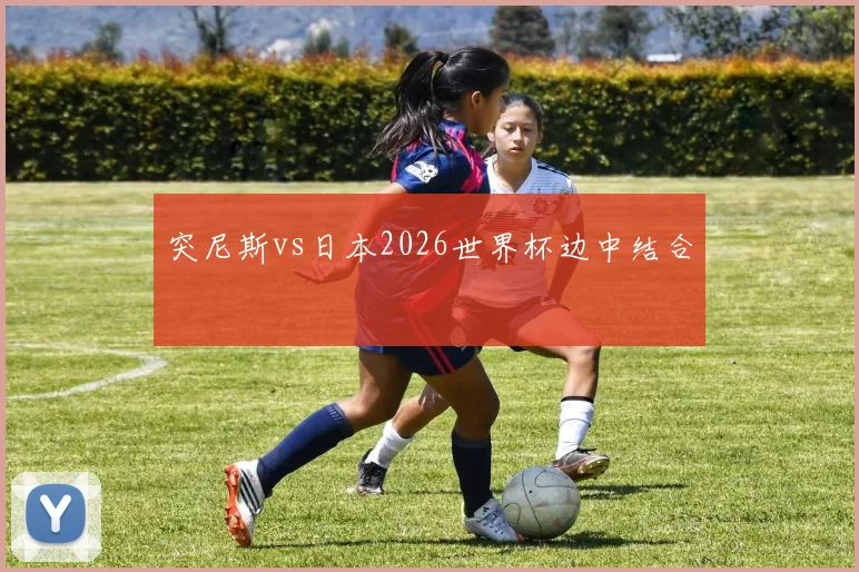 突尼斯vs日本2026世界杯边中结合