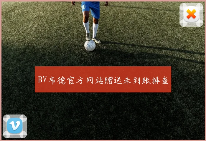 BV韦德官方网站赠送未到账排查
