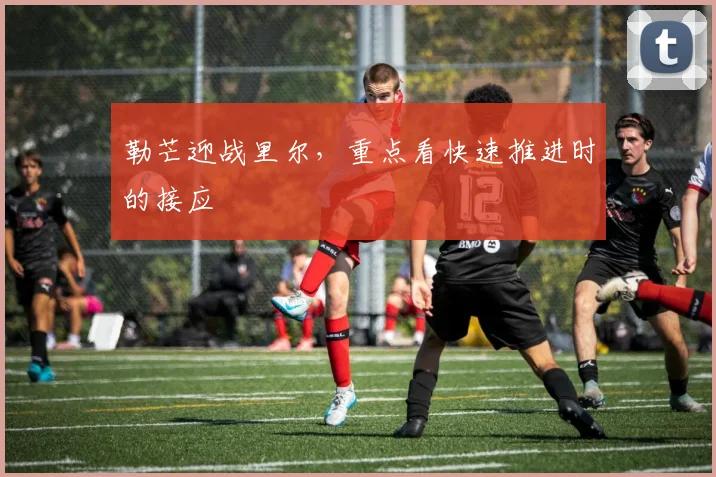 勒芒迎战里尔，重点看快速推进时的接应