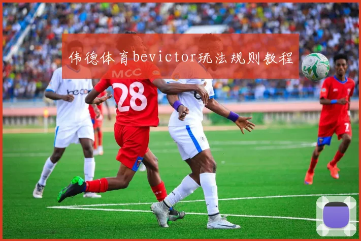 伟德体育bevictor玩法规则教程