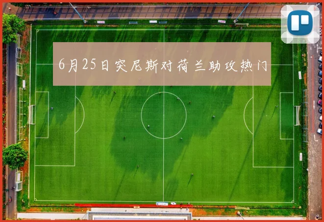 6月25日突尼斯对荷兰助攻热门